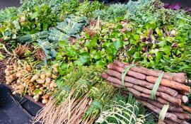 Remedios yuyos para el post karuvaí de Semana Santa.