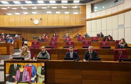 La ministra de Salud, María Teresa Barán, en la sala de sesiones del Senado. La misma no compartió la mesa con el senador Silvio "Beto" Ovelar como sí lo hizo el ministro de Economía, Carlos Fernández Valdovinos.
