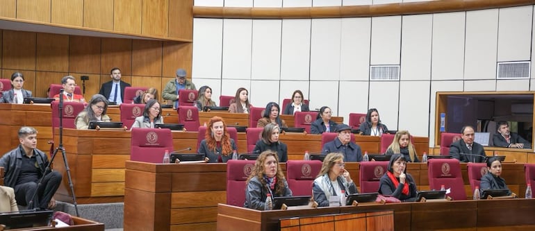 Audiencia Pública sobre el divorcio exprés en la sala de sesiones del Senado.