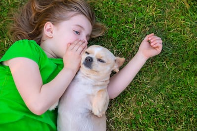 “Baby talk” con mascotas: por qué hablarles como bebés puede tener efectos positivos. La imagen muestra a un perro y su humana.