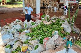 El productor Ceferino Mereles mostró las bananas perdidas a causa de la crisis con Argentina.