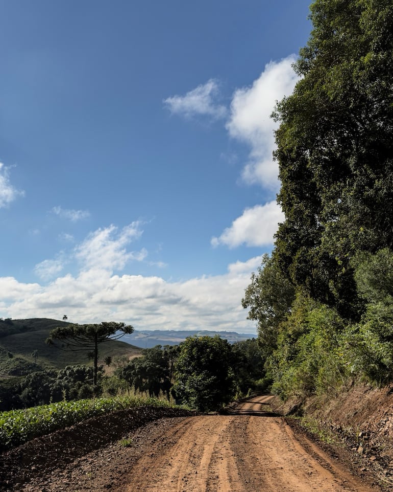 Así está uno de los tramos de esta nueva edición del Rally de Erechim.
