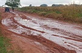 El trayecto de 25 kilómetros en la colonia Primavera Real presenta serias complicaciones para la circulación de vehículos.