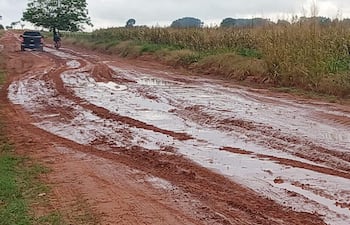 El trayecto de 25 kilómetros en la colonia Primavera Real presenta serias complicaciones para la circulación de vehículos.