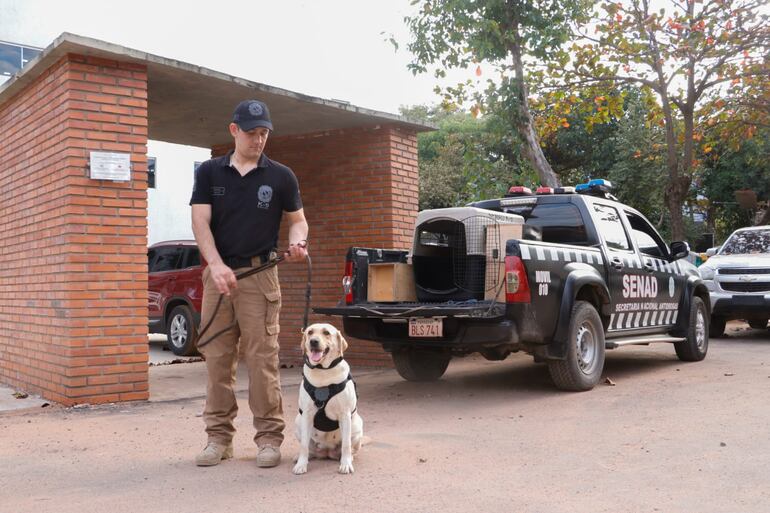 Lala, nueva agente canina de la Senad.