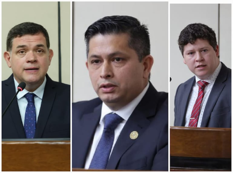Ternas para Contralor General de la República:
1. Camilo Daniel Benítez Aldana
2. Mabel Bogado Oviedo
3. Carlos Vera Ruiz
Ternas para Sub Contralor:
1. Armindo Torres Torres
2. Augusto José Félix Paiva
3. Cosme Alfredo Torres Rodríguez