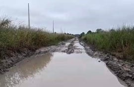 Camino rural en condiciones húmedas, con charcos de agua y vegetación alta a los lados, día nublado.