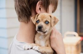 La tenencia de animales reduce las posibilidades de sufrir asma; las mascotas pueden detectar otras enfermedades, afirma una veterinaria local.