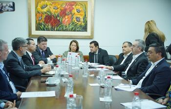 Reunión del titular de ANDE, Félix Sosa, y el ministro de Industria, Javier Giménez, con Diputados.
