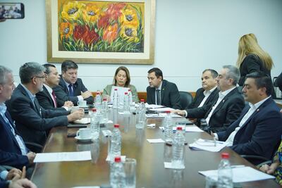 Reunión del titular de ANDE, Félix Sosa, y el ministro de Industria, Javier Giménez, con Diputados.