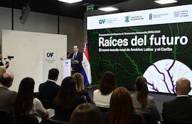 Orador vestido formalmente expone sobre desarrollo económico, mientras el público lo observa atentamente en un auditorio con decoraciones formales.