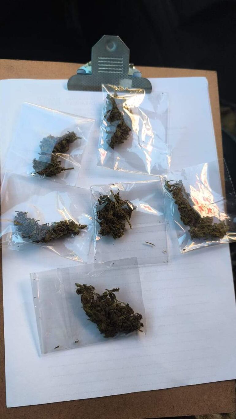 Seis paquetes transparentes con sustancias vegetales sobre una superficie blanca, en un ambiente cerrado.