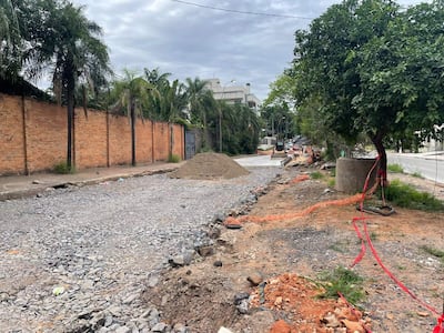 Calle en proceso de reparación con vegetación y un árbol grande, ambiente exterior nublado y montículos de arena y piedras.