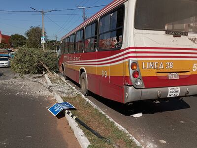 Colectivo de la línea 38 embiste contra columna y árbol, en Villa Elisa.