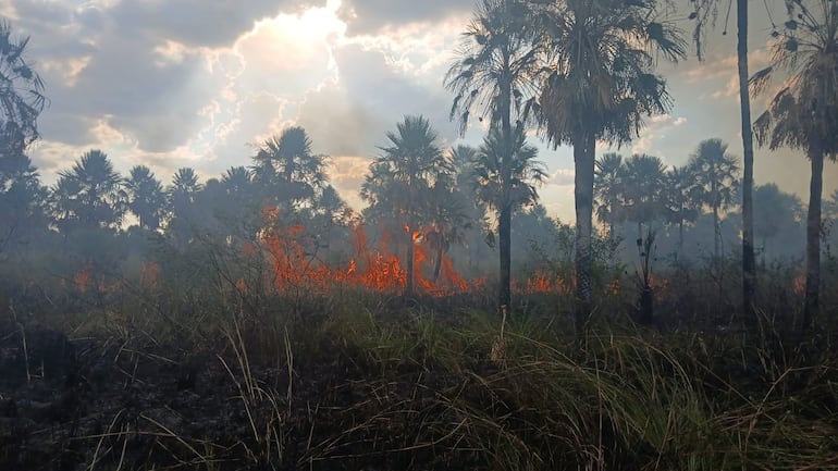Así se podía ver el voraz incendio que consumía parte de la reserva, con columnas de humo elevándose y llamas visibles desde varios puntos cercanos.