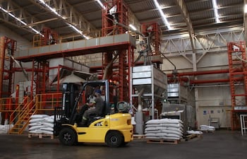 La fábrica procesadora de semillas de cannabis industrial se ubica en Luque. Desde el año 2020 a la fecha, procesó más de 1.000 toneladas de semillas de cáñamo.