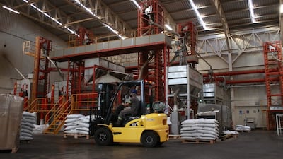 La fábrica procesadora de semillas de cannabis industrial se ubica en Luque. Desde el año 2020 a la fecha, procesó más de 1.000 toneladas de semillas de cáñamo.