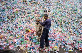 Esta foto, tomada el 17 de septiembre de 2015, muestra a un trabajador chino clasificando botellas de plástico para reciclaje en el pueblo de Dong Xiao Kou, en las afueras de Pekín.