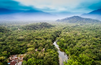 Amazonía.