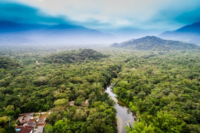 Amazonía.