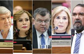 Senadores liberocartistas José "Pakova" Ledesma, Noelia Cabrera, Dionisio Amarilla, Hermelinda Alvarenga y Edgar López.