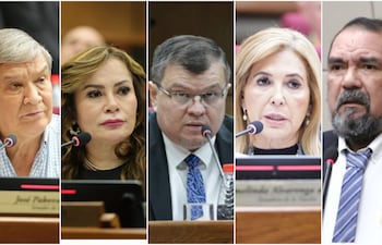 Senadores liberocartistas José "Pakova" Ledesma, Noelia Cabrera, Dionisio Amarilla, Hermelinda Alvarenga y Edgar López.