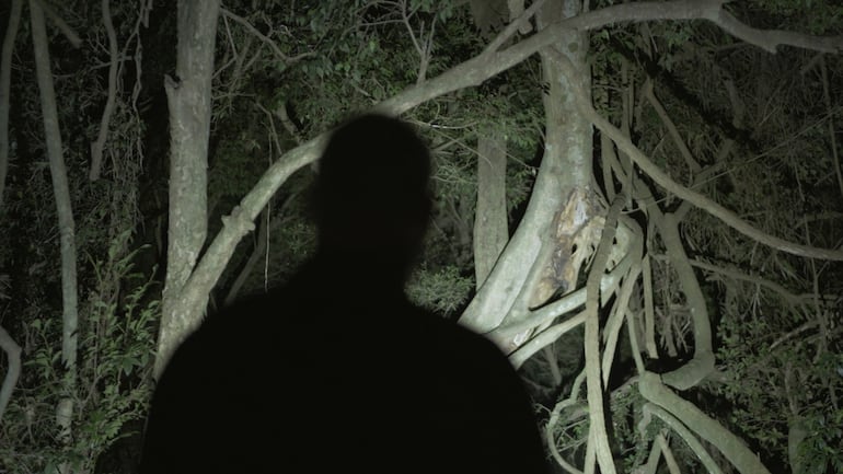 Otra imagen de "Around Paradise", donde se destaca la vegetación de la zona de Caazapá