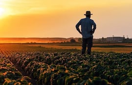 Nivel de producción del Chaco es comparable ya con la región Oriental.