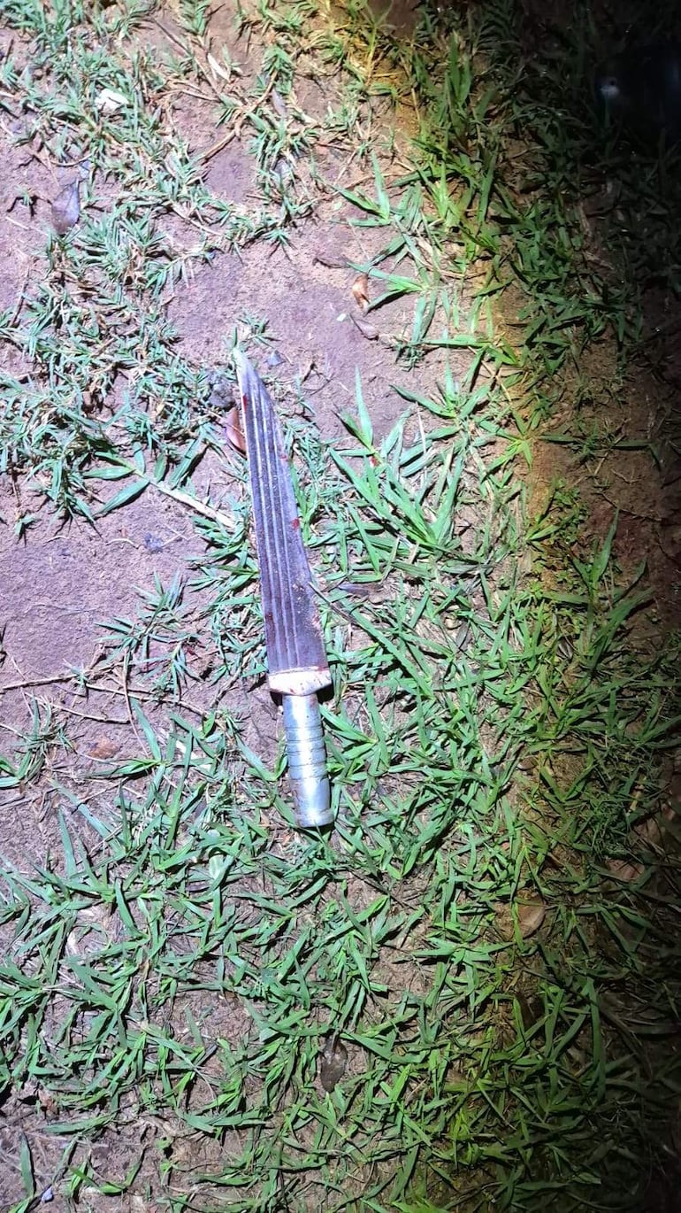 El arma utilizada para cometer el doble crimen en Bella Vista Norte, fue incautada por los agentes policiales de la zona.