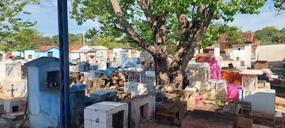 Saturación del cementerio de Santa Rosa genera preocupación de la ciudadanía.