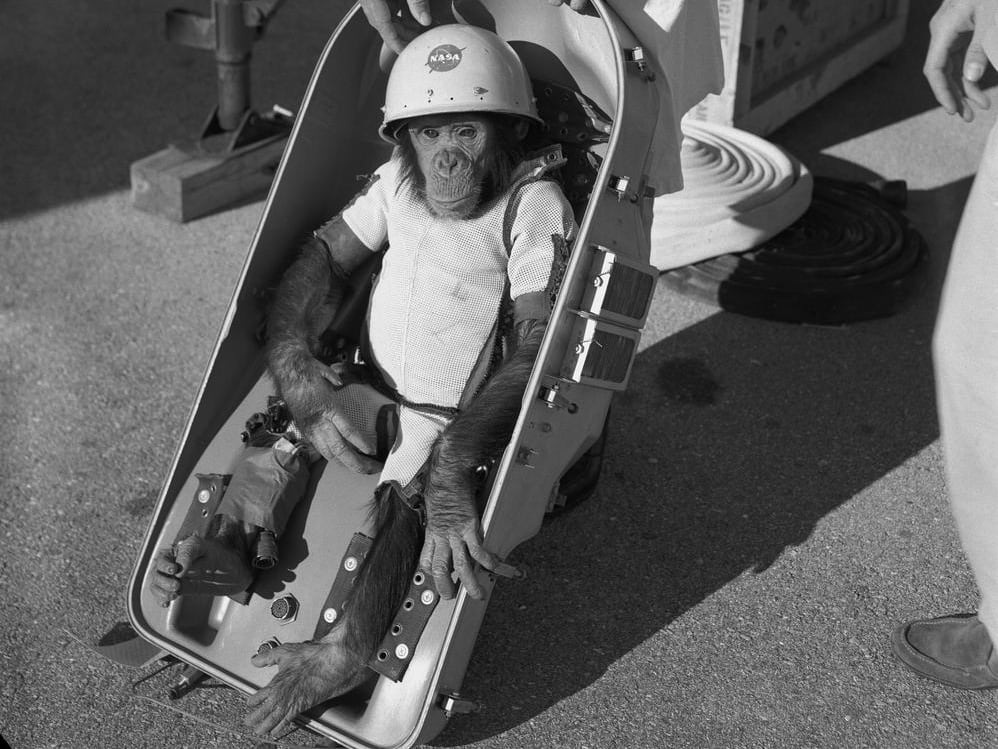 Efemérides: un día como hoy, pero de 1961, un primer homínido llegaba al espacio exterior Efemérides: un día como hoy, pero de 1961, un primer homínido llegaba al espacio exterior