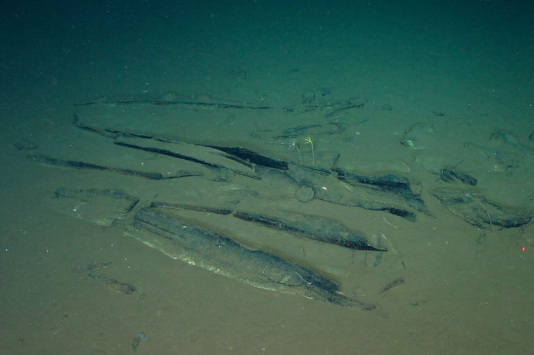 Esta fotografía facilitada por Global TREnD e IDSSE, tomada en 2023 a siete kilómetros bajo la superficie del mar, en el fondo oceánico profundo de la Zona Diamantina, en el océano Índico, y difundida el 10 de junio de 2026, muestra huesos de ballena en el mayor cementerio de ballenas conocido del mundo, descubierto por el sumergible chino Fendouzhe.
