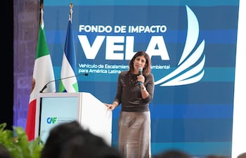 Alejandra Botero de pie en un podio con micrófono, vestida con suéter oscuro y falda plateada, habla frente a la audiencia en evento formal.