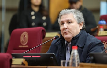 Rafael Filizzola, senador del Partido Democrático Progresista (PDP).