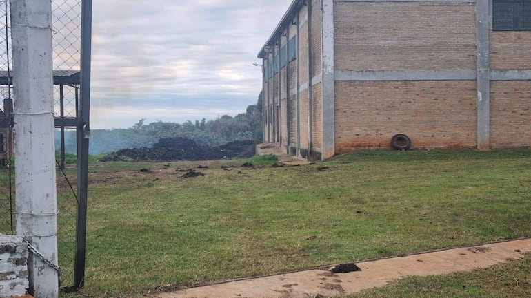 Montones de excrementos de animales junto a un edificio de ladrillos en un entorno rural con cielo nublado.