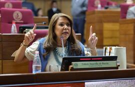Senadora Celeste Amarilla (PLRA) en la sala de sesiones del Senado.