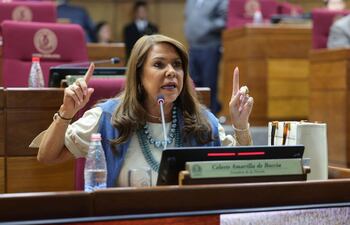 Senadora Celeste Amarilla (PLRA) en la sala de sesiones del Senado.