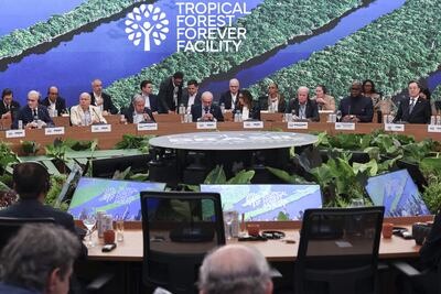 Lula lanza en la COP30 un fondo global para conservar los bosques tropicales