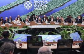 Lula lanza en la COP30 un fondo global para conservar los bosques tropicales