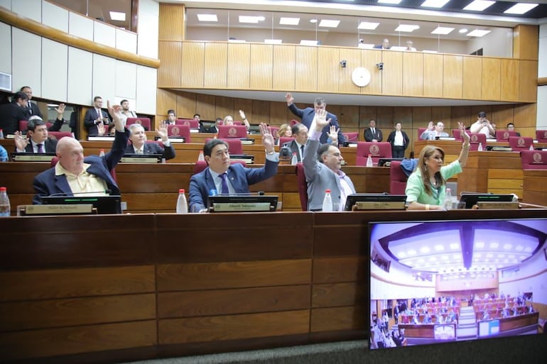 Bancada opositora en el Senado. Foto : Prensa Senado.
