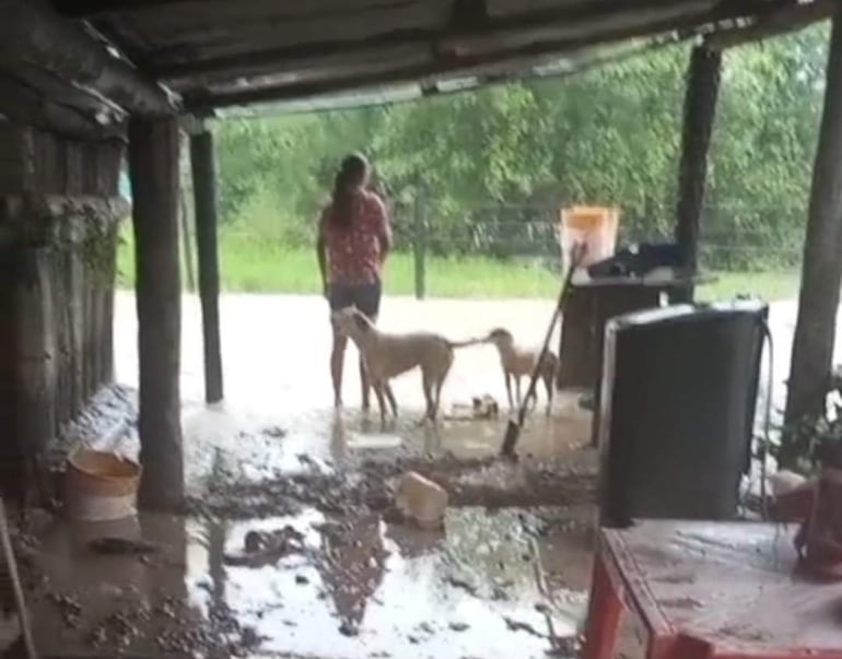Mujer de espaldas con camiseta floral, rodeada de dos perros en entorno inundado con charcos de agua y herramientas de limpieza.