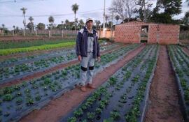 Don Carmelo Acosta contó que regarán sus cultivos por las noches y madrugada para que las plantaciones no se estropeen.