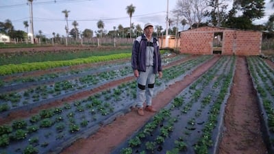 Don Carmelo Acosta contó que regarán sus cultivos por las noches y madrugada para que las plantaciones no se estropeen.