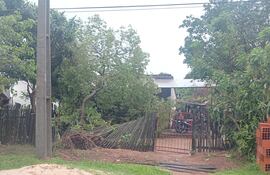 Abundante lluvia, fuerte viento y granizos causan severos daños en San Pedro