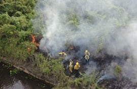 Buscan combatir incendios forestales con plataforma de control de fuego y visualizador de focos de incendio del Infona.