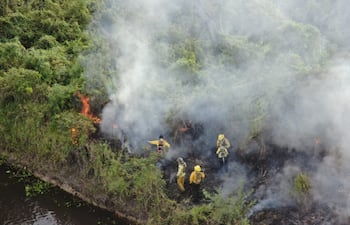 Buscan combatir incendios forestales con plataforma de control de fuego y visualizador de focos de incendio del Infona.