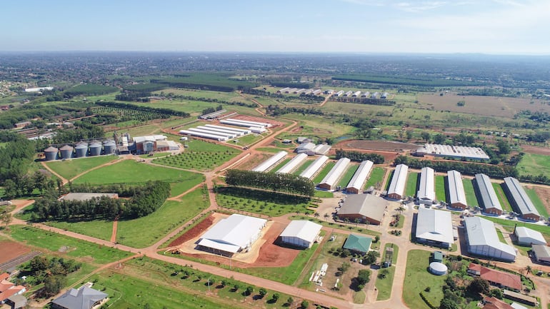 La producción de Yemita a gran escala apuesta por la tecnología para convertir la calidad en un proceso medible, controlado y repetible.