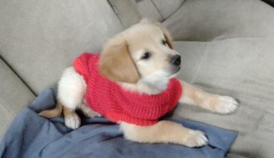 Una manta y ropa para la ocasión.