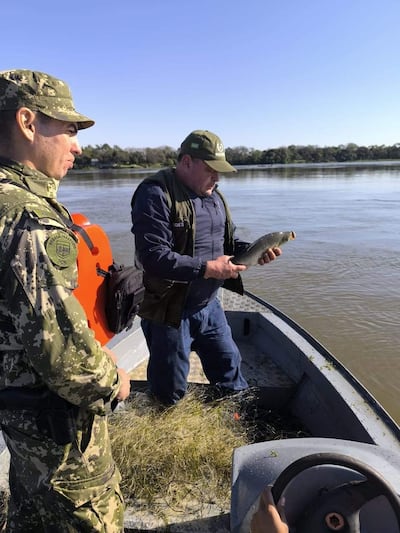 Controles preventivos realizados por el Ministerio del Ambiente y la Prefectura Naval permitieron retirar aproximadamente 300 metros de redes monofilamento