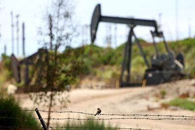 Imagen ilustrativa. (AFP)